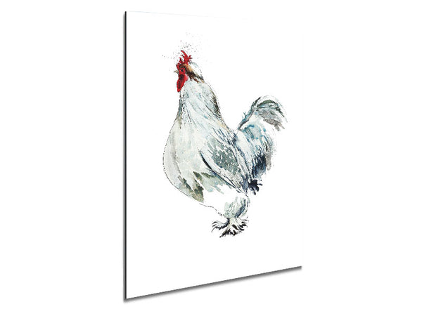 White Hen Metal Print