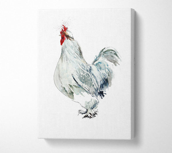  A Canvas Print of White Hen Canvas Wall Art