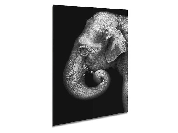 Elephant Face Metal Print