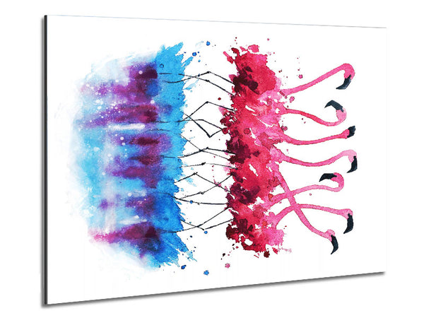 Flamingo Reflections Metal Print