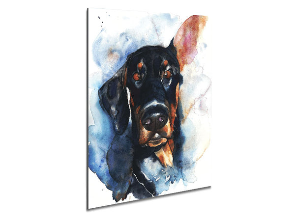 Doppy Dalmation Dog Metal Print