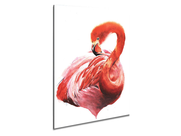 Flamingo Groom Metal Print
