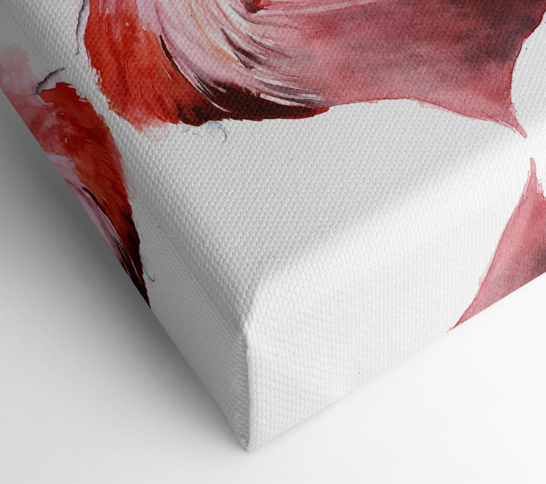  A Canvas Print of Flamingo Groom Canvas Print