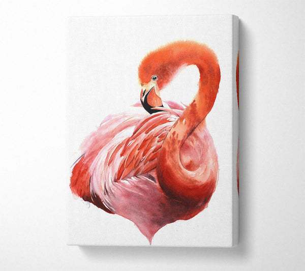  A Canvas Print of Flamingo Groom Canvas Print