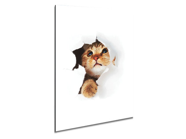Cat Breakthrough Metal Print