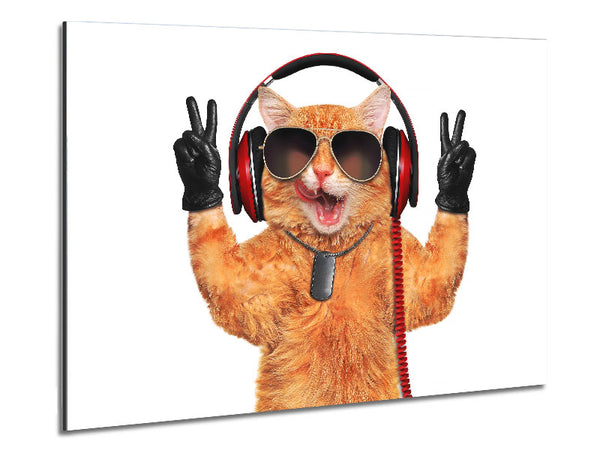 Top Cat Metal Print