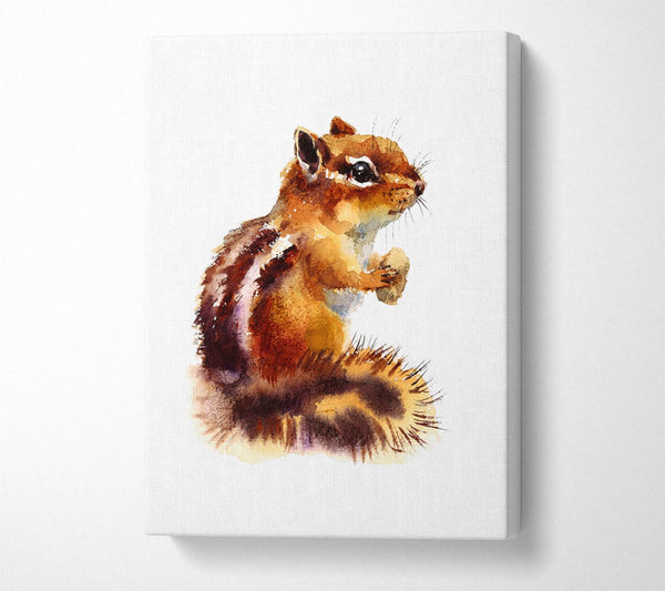  A Canvas Print of Squirrel Nuts Canvas Wall Art