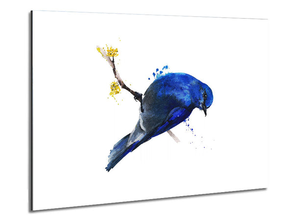 Bluebird On Apple Blossom Metal Print