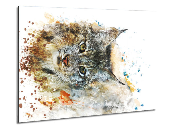 Wild Cat Metal Print