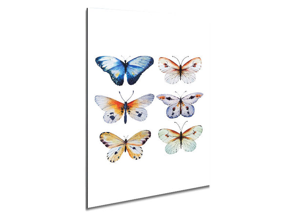 Butterfly Breeds Metal Print