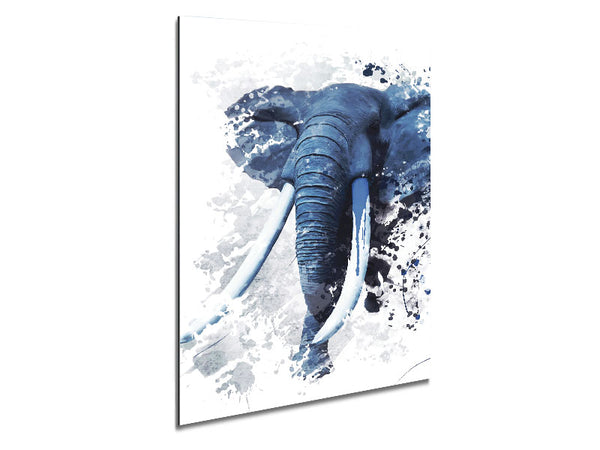Elephant Grey Metal Print