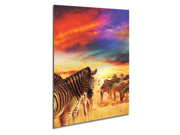 Stunning Zebra Skies Metal Print