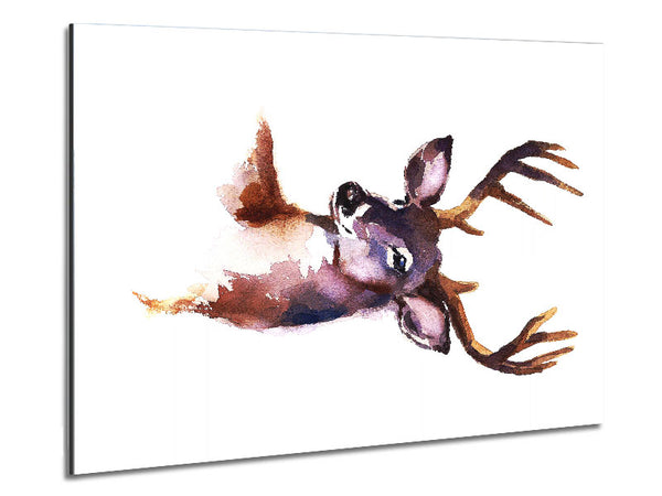 Female Deer Metal Print