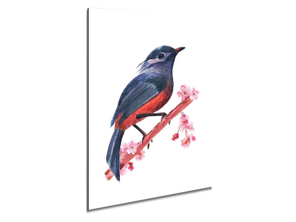 Chaffinch Bird Cherry Blossom Metal Print