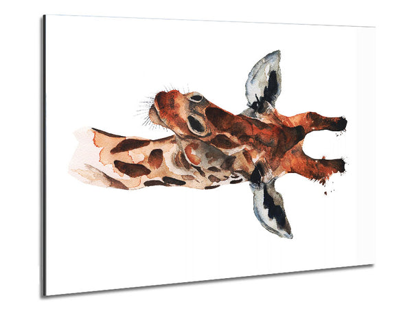 Curious Giraffe Metal Print