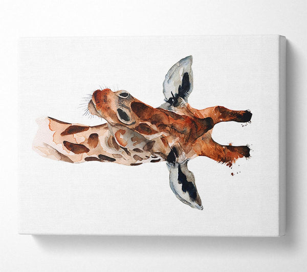  A Canvas Print of Curious Giraffe Canvas Art