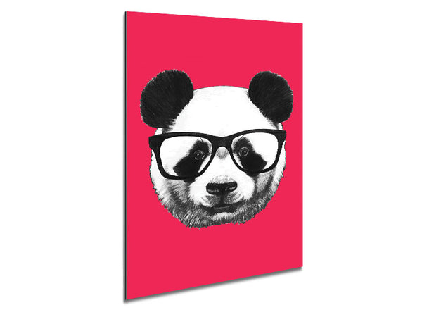 Funky Panda Metal Print