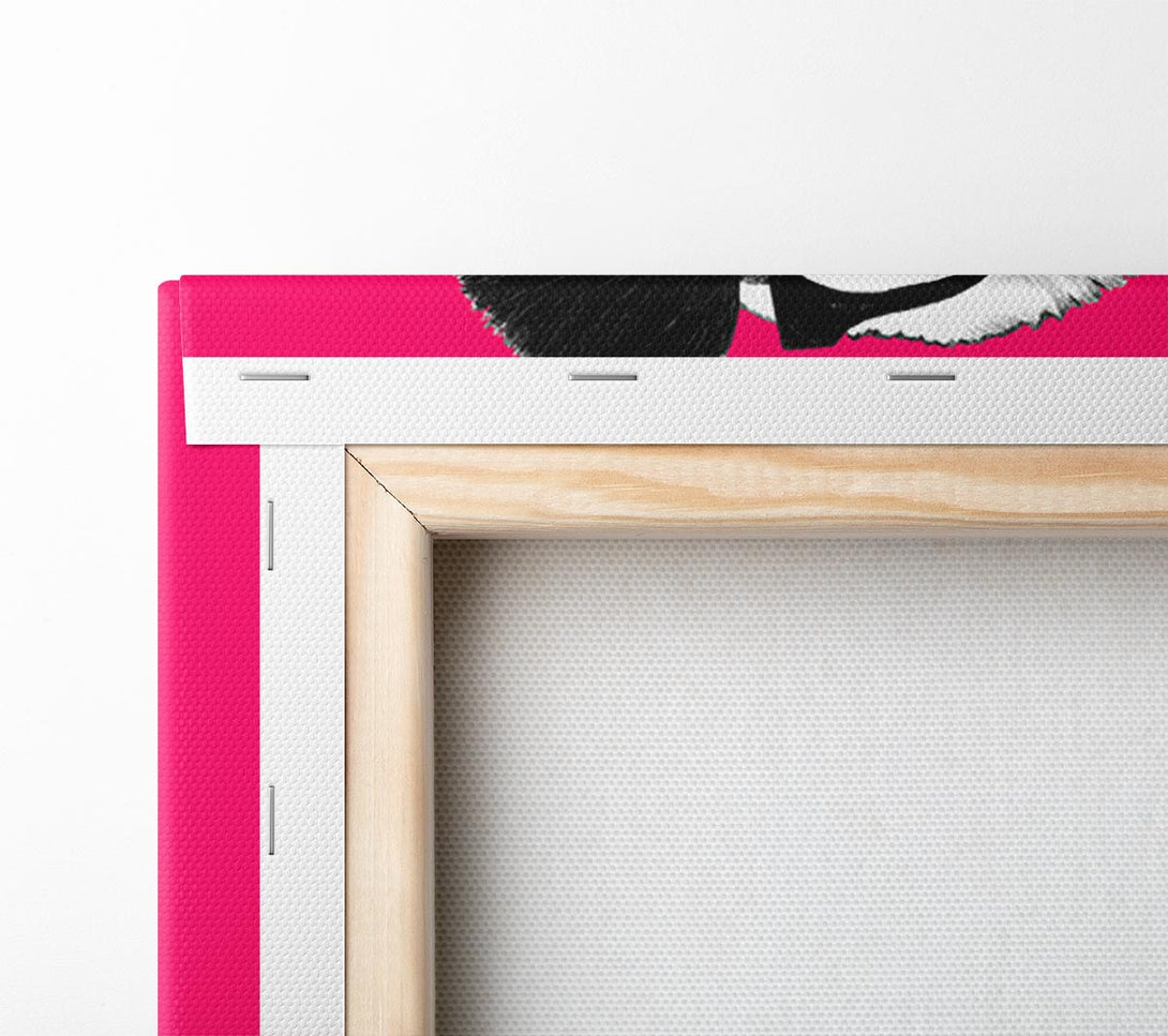 A Canvas Print of Funky Panda Canvas Print