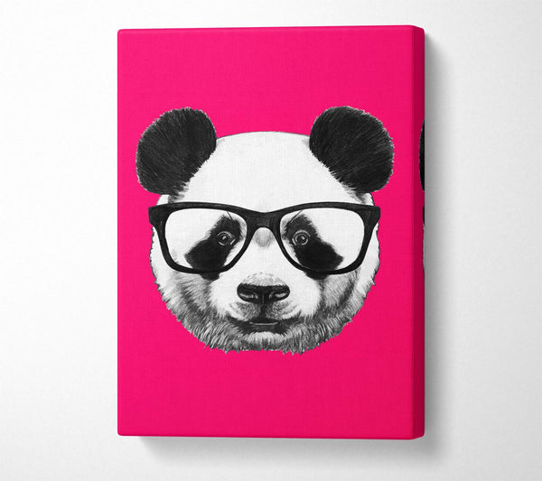 A Canvas Print of Funky Panda Canvas Print