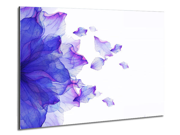 Whisper 4 Metal Print