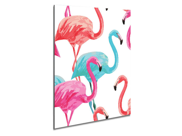 Flamingo Colours Metal Print