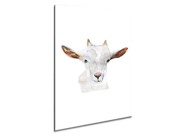 Baby Goat Face Metal Print