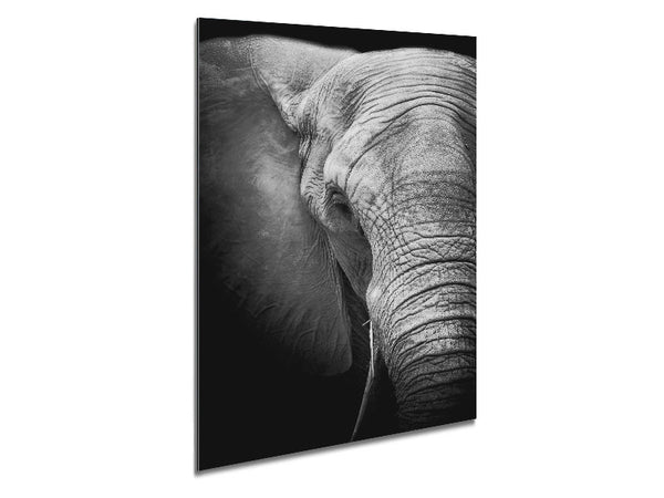 Elephant Power Metal Print