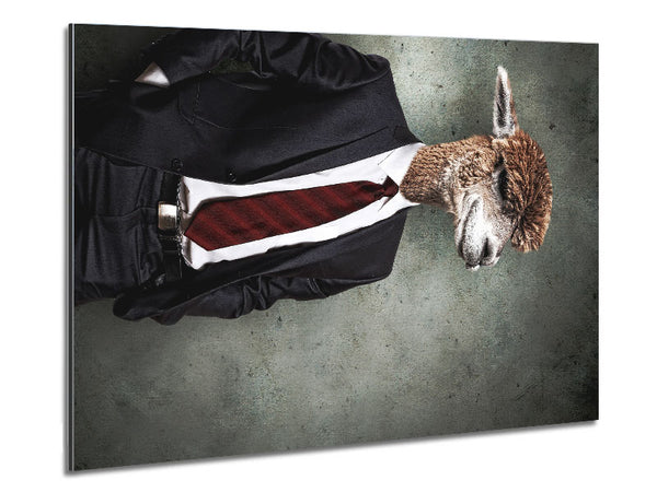 Business Llama Metal Print