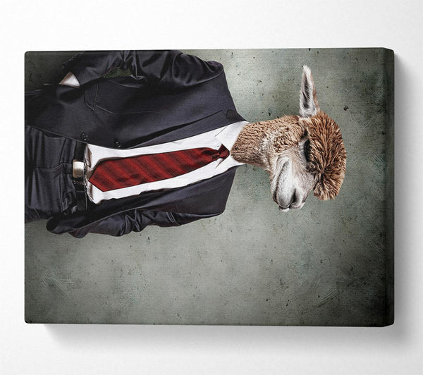  A Canvas Print of Business Llama Canvas Print