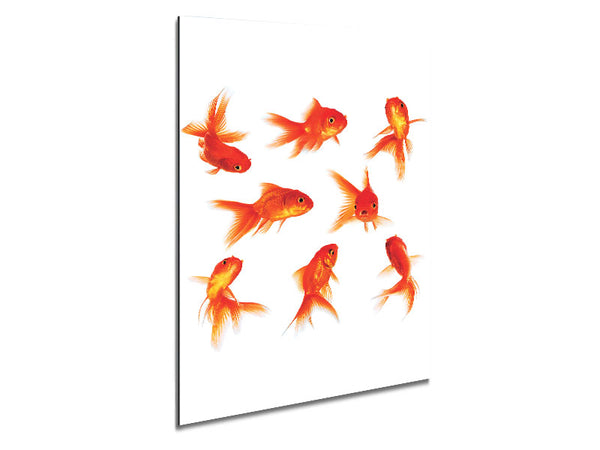 Goldfish Party Metal Print