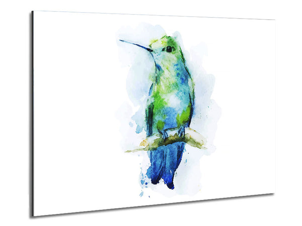 Hummingbird Branch Metal Print