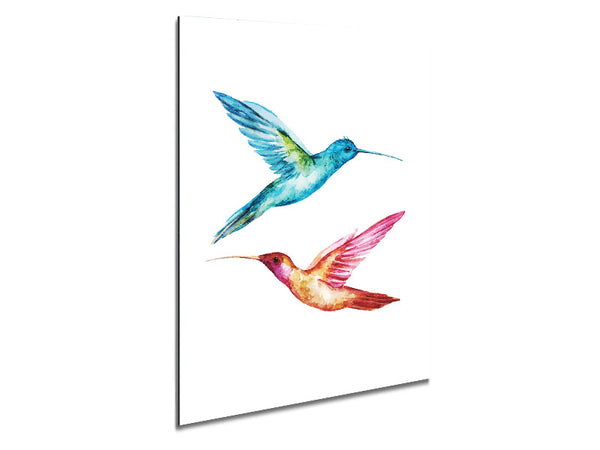 Hummingbird Duo Metal Print