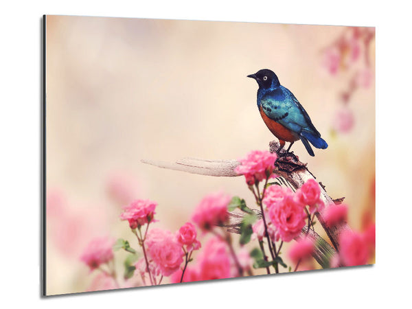 Blue Bird In The Cherry Blossom Metal Print