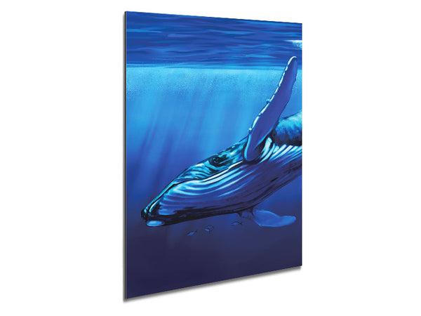 Whale Blues Metal Print