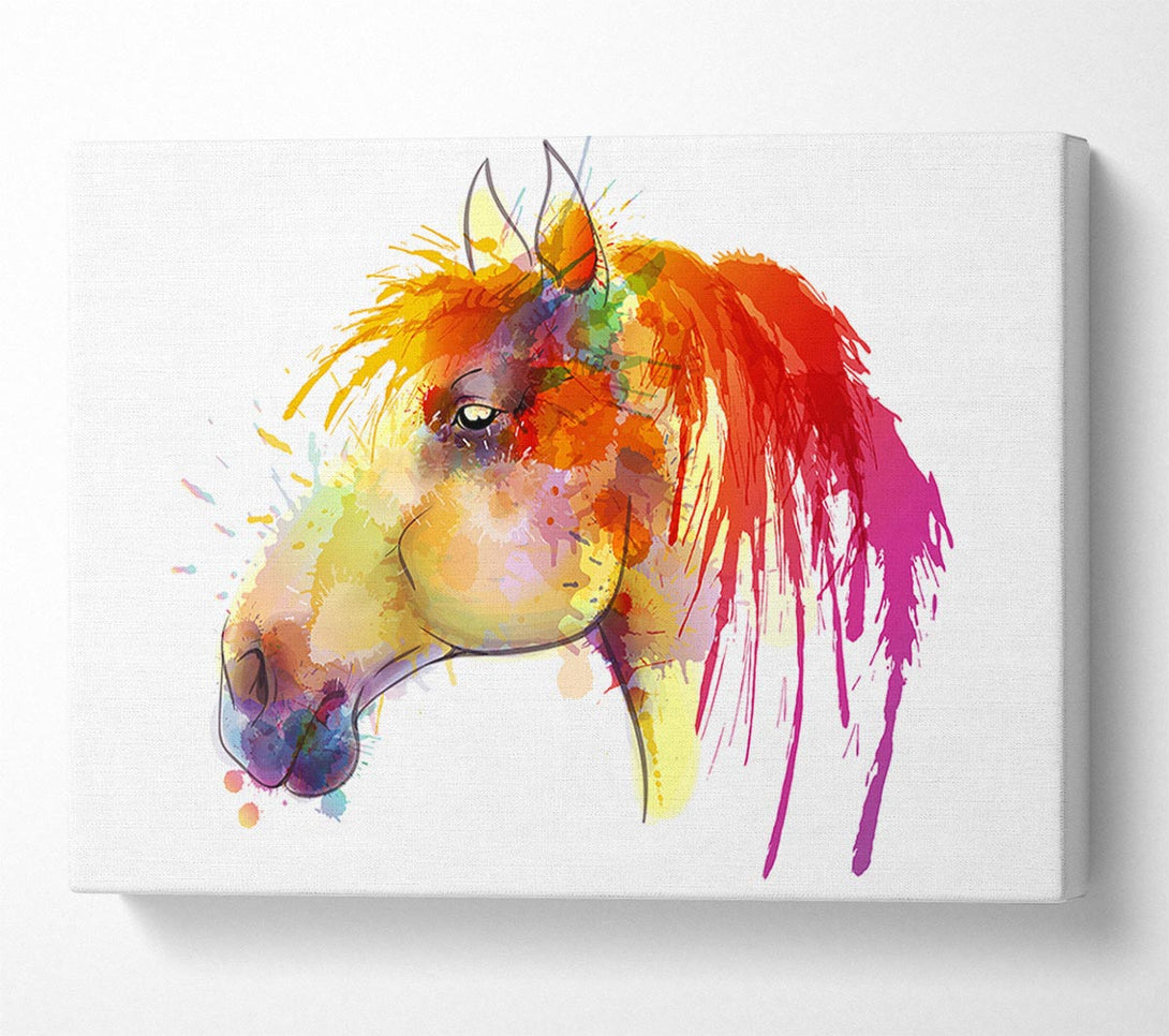  A Canvas Print of Beautiful Rainbow Horse Canvas Art