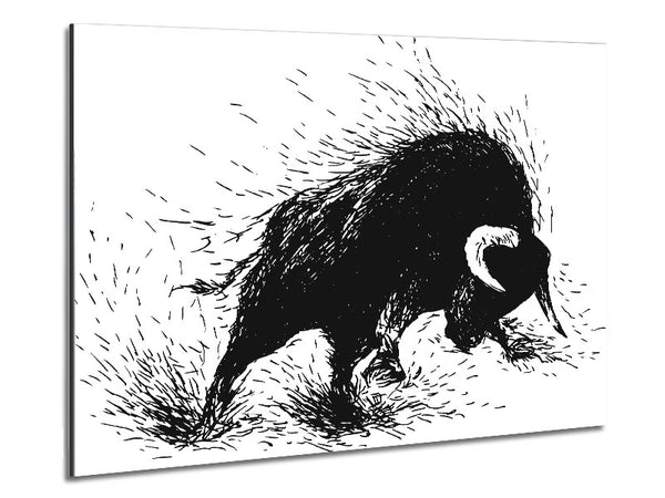 Bull Attack Metal Print