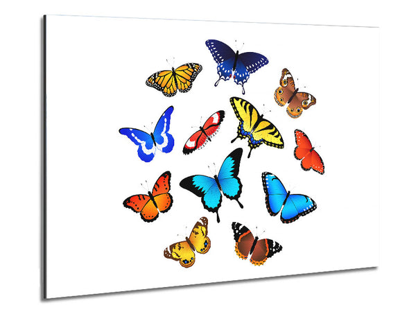 Colourful Butterflies Metal Print
