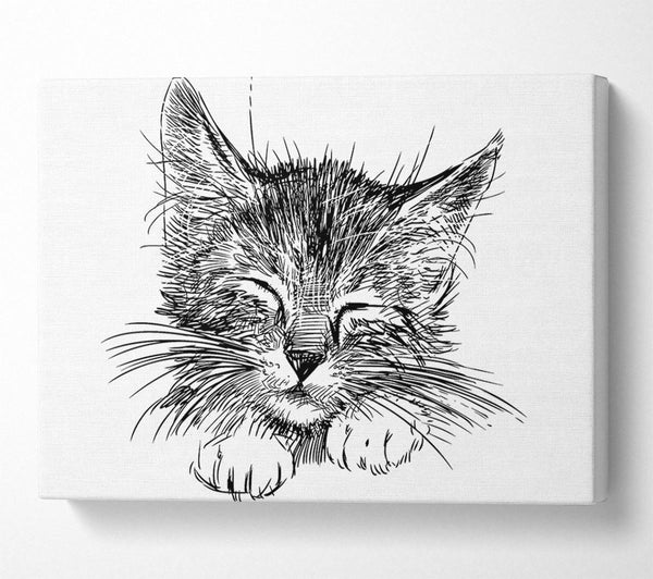 A Canvas Print of Cute Kitten Face Canvas Wall Art