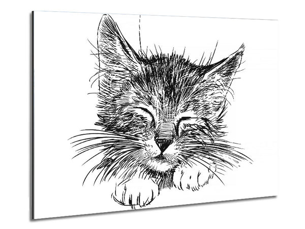 Cute Kitten Face Metal Print