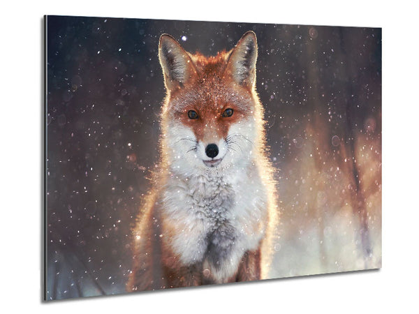 Fox In Winter Metal Print