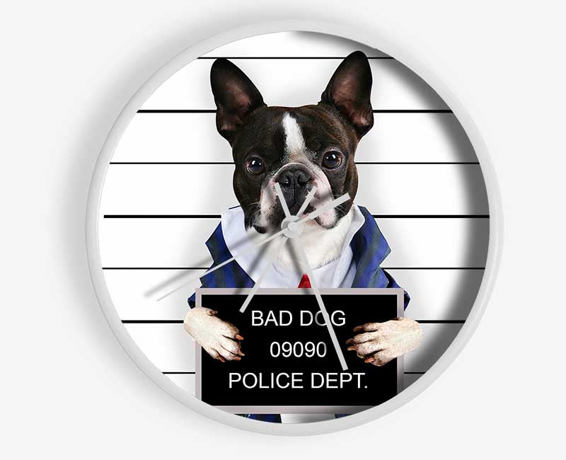 Naughty French Bulldog Clock - Wallart-Direct UK