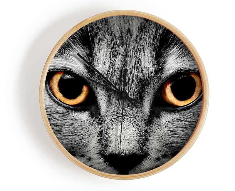 Orange Cat Eyes Clock - Wallart-Direct UK