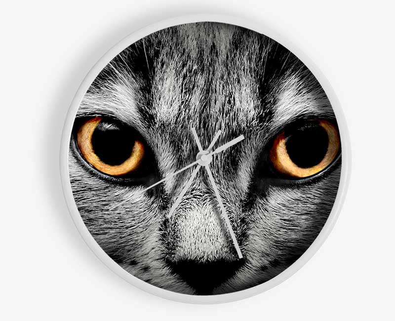 Orange Cat Eyes Clock - Wallart-Direct UK