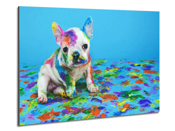 French Bulldog Paint Party Metal Print