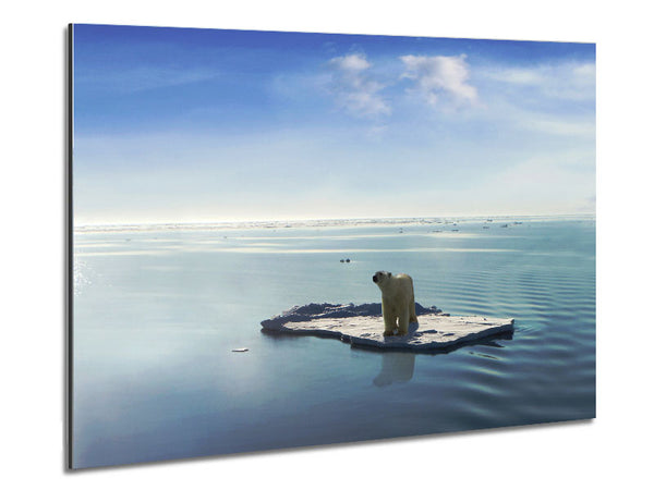 Floating Polar Bear Metal Print