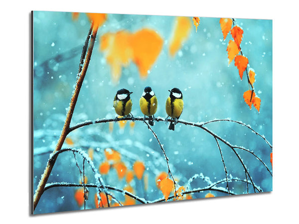 Blue Tit Birds Winter Metal Print