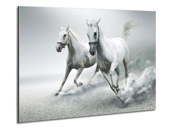 White Duo Horses Metal Print
