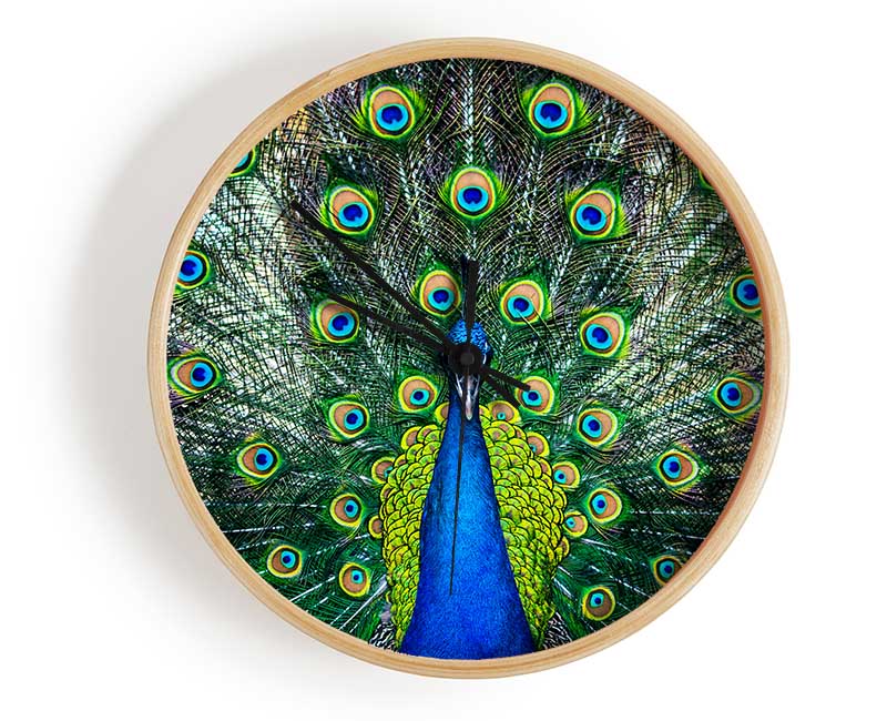 Peacock Plume Clock - Wallart-Direct UK