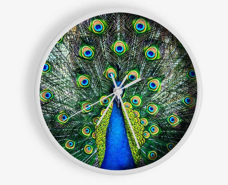 Peacock Plume Clock - Wallart-Direct UK
