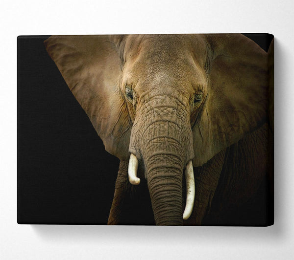 A Canvas Print of Stunning Elephant Face Canvas Wall Art